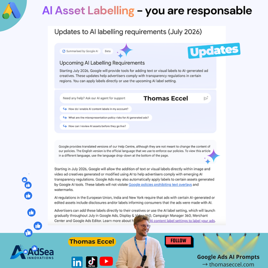 Google Ads AI Asset Labelling