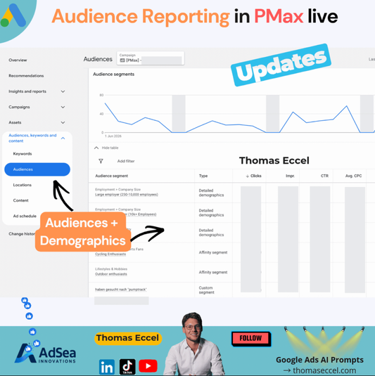 PMax Audience Reporting Google Ads