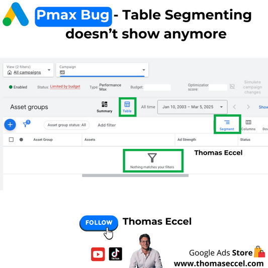 Google Ads Pmax Bug